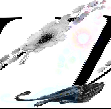 تصویر درباره ما